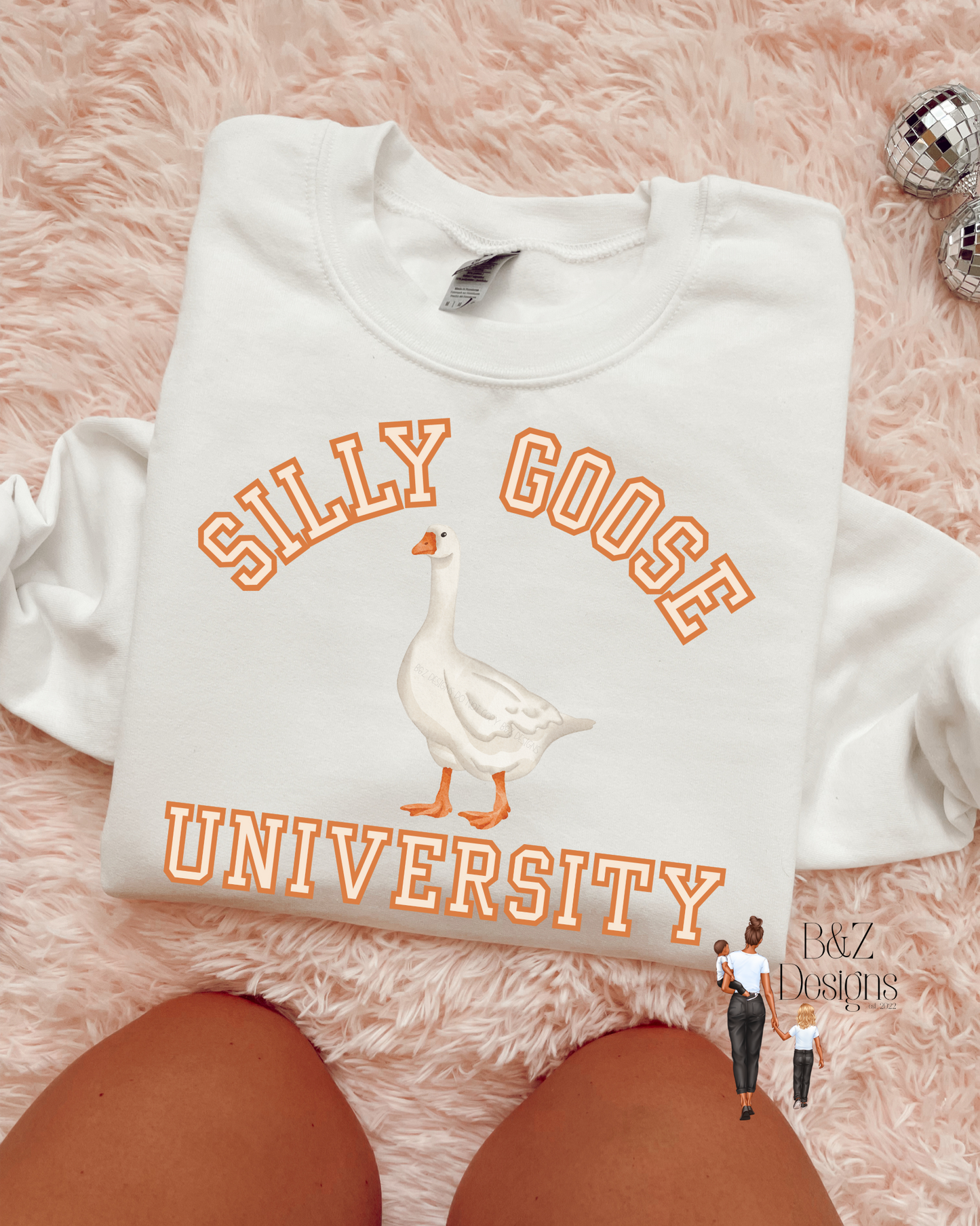 Silly Goose University